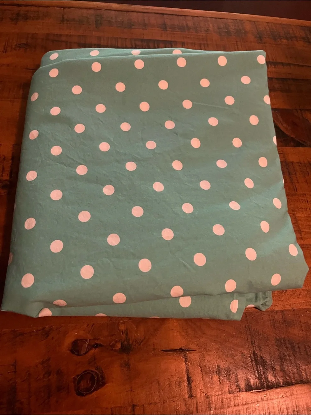 Pottery Barn Polka Dot Powder Green Full Flat sheet